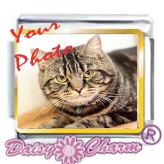 Add Your Own Cat Silver Frame Photo Custom Made Italian Charm