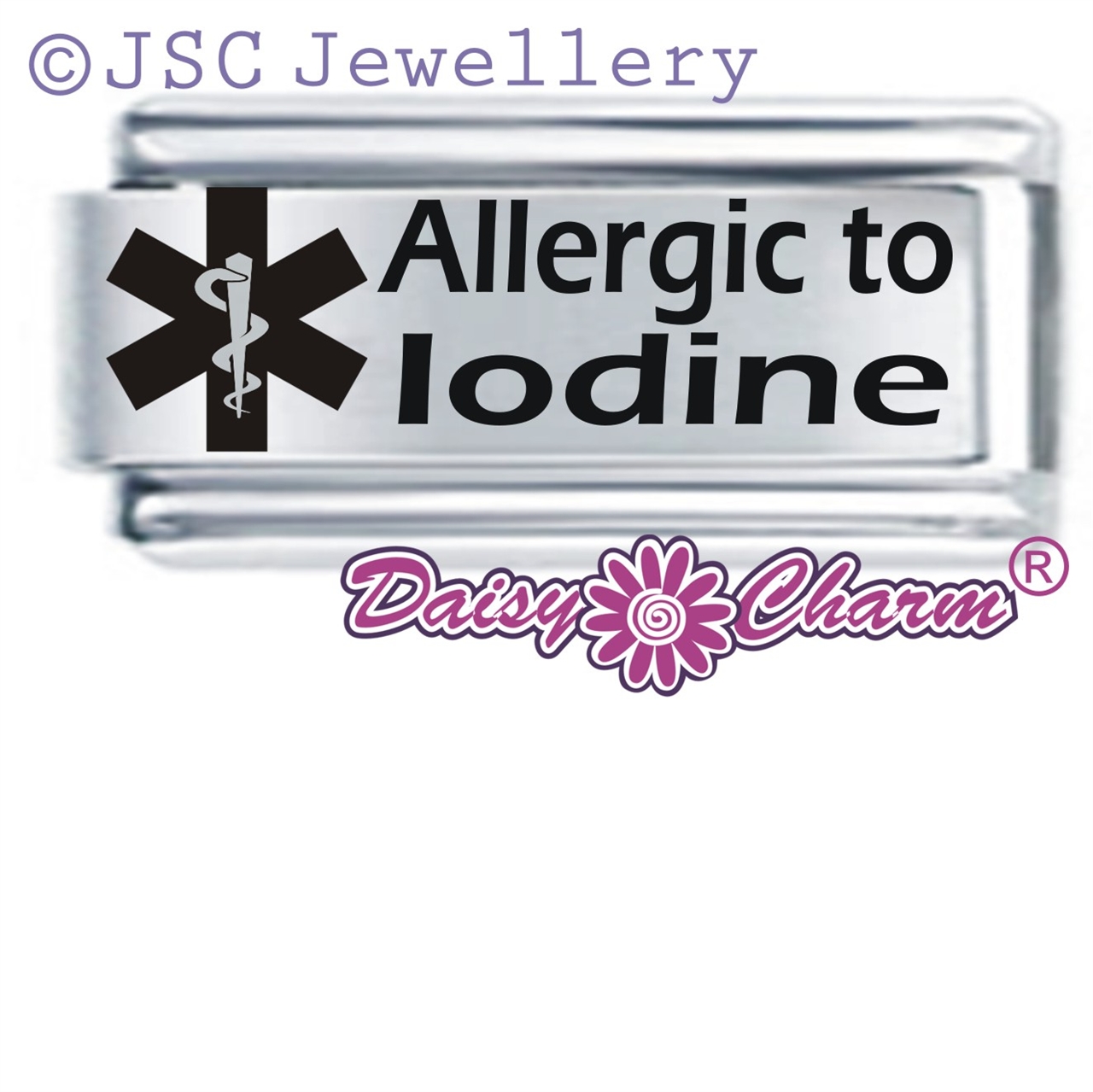 medical alert italian charms