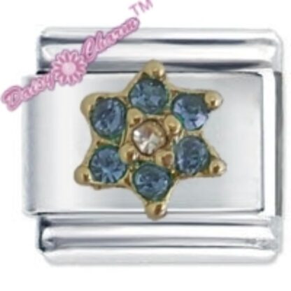 December Flower Birthstone Italian Charm